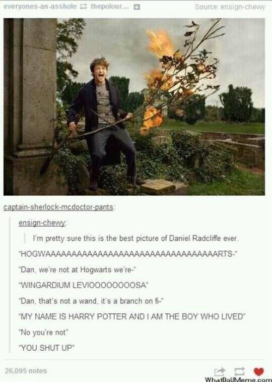Detail Daniel Radcliffe Meme Nomer 38