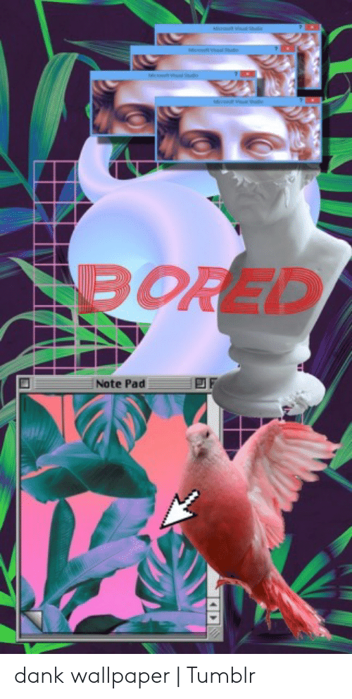 Detail Dank Meme Wallpaper Nomer 46