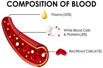 Detail Darah Gambar Leukosit Nomer 44