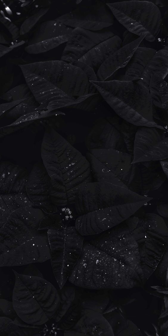 Detail Dark Android Wallpaper Nomer 55