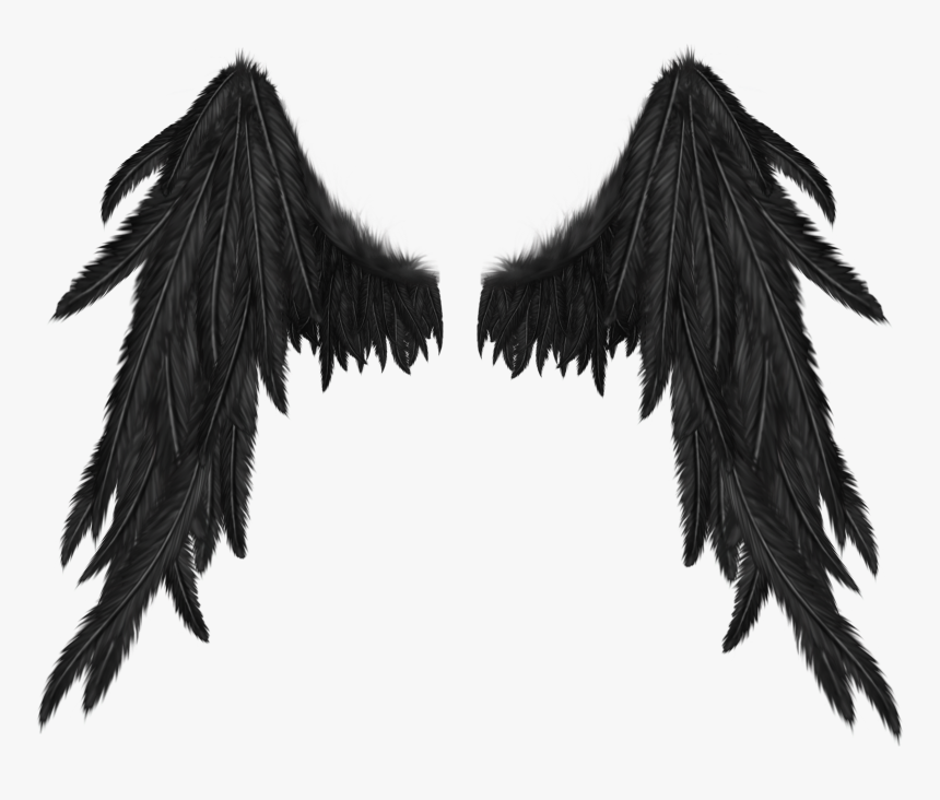 Detail Dark Angel Wings Png Nomer 2