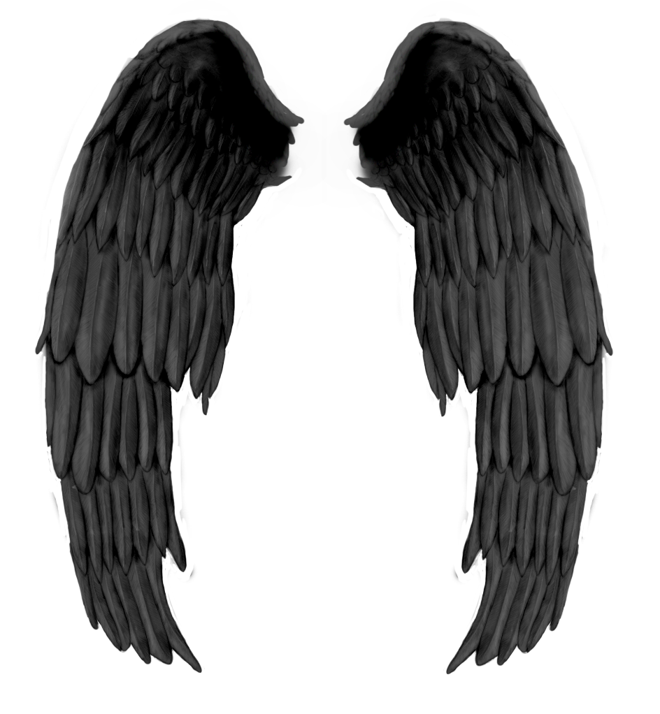 Detail Dark Angel Wings Png Nomer 18