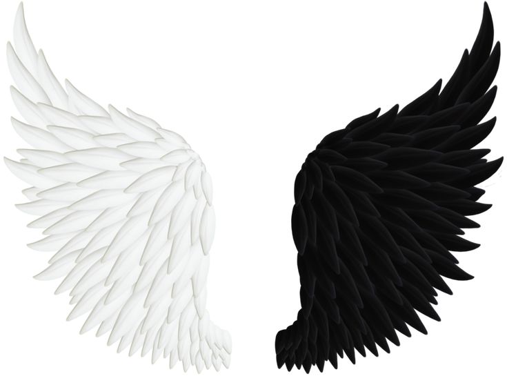 Detail Dark Angel Wings Png Nomer 23