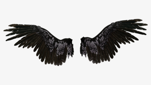 Detail Dark Angel Wings Png Nomer 24