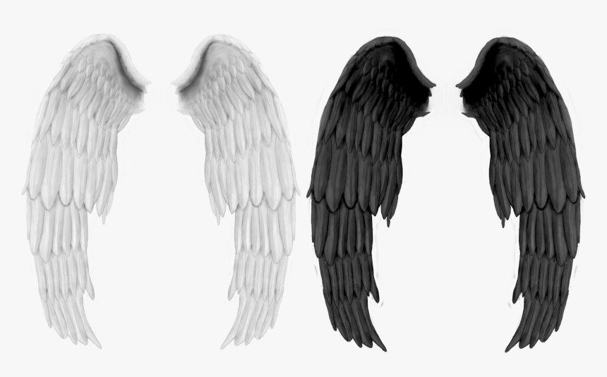 Detail Dark Angel Wings Png Nomer 28