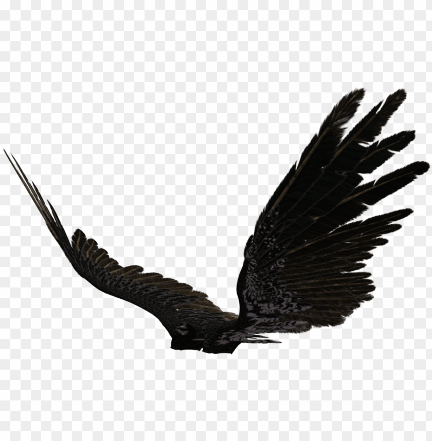 Detail Dark Angel Wings Png Nomer 29