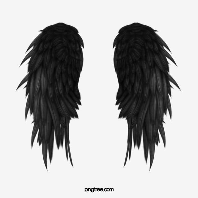 Detail Dark Angel Wings Png Nomer 33