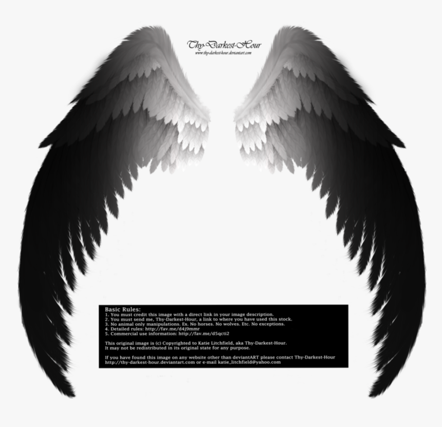 Detail Dark Angel Wings Png Nomer 35