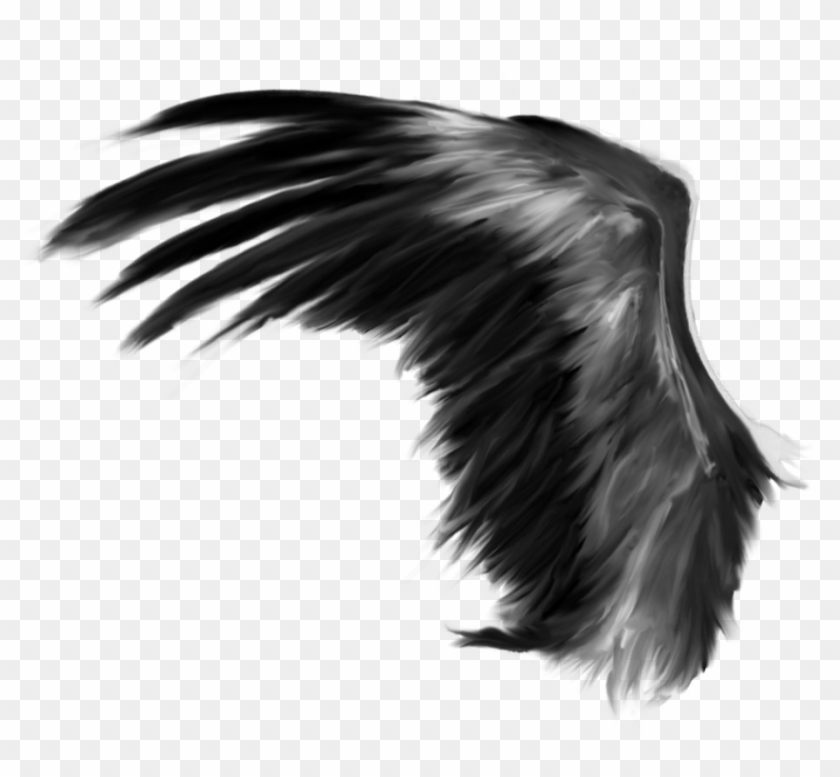 Detail Dark Angel Wings Png Nomer 37