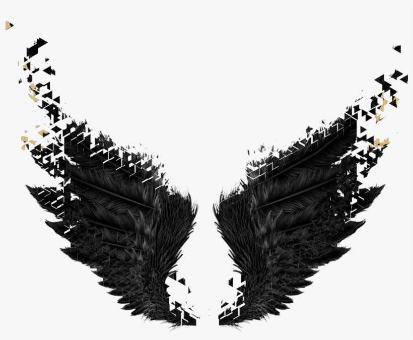 Detail Dark Angel Wings Png Nomer 38
