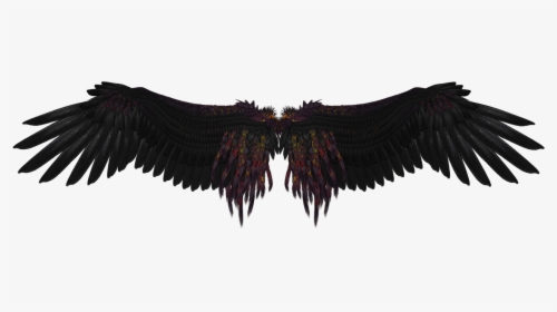Detail Dark Angel Wings Png Nomer 40