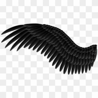 Detail Dark Angel Wings Png Nomer 48