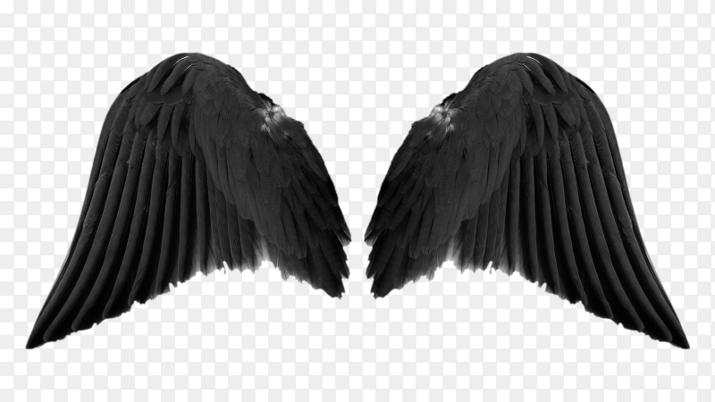 Detail Dark Angel Wings Png Nomer 54