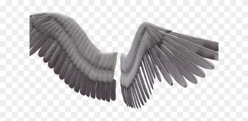 Detail Dark Angel Wings Png Nomer 56