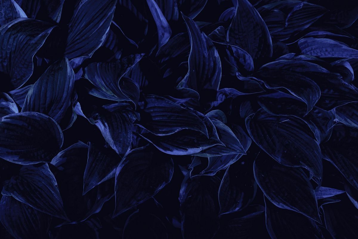 Detail Dark Blue Pattern Background Tumblr Nomer 9