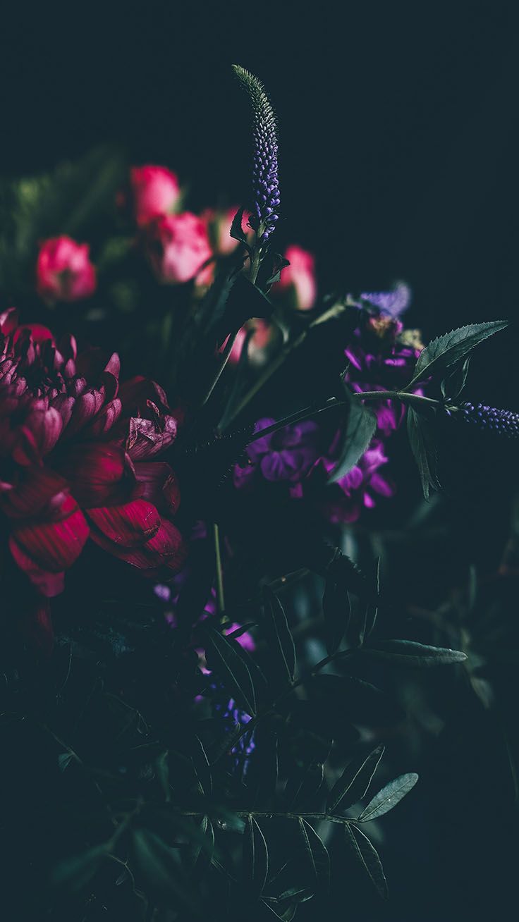 Detail Dark Flower Wallpaper Nomer 21