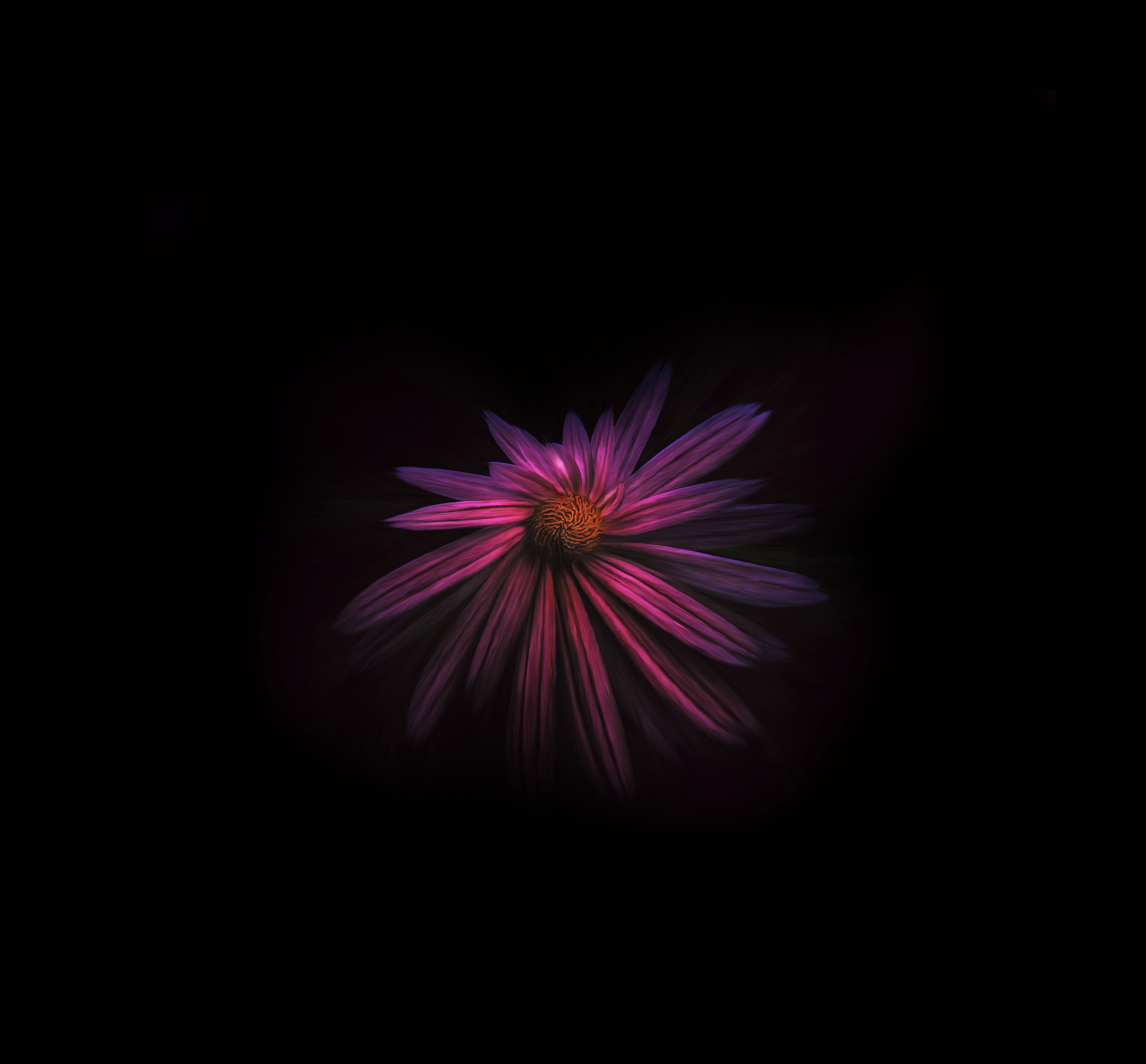 Detail Dark Flower Wallpaper Nomer 34