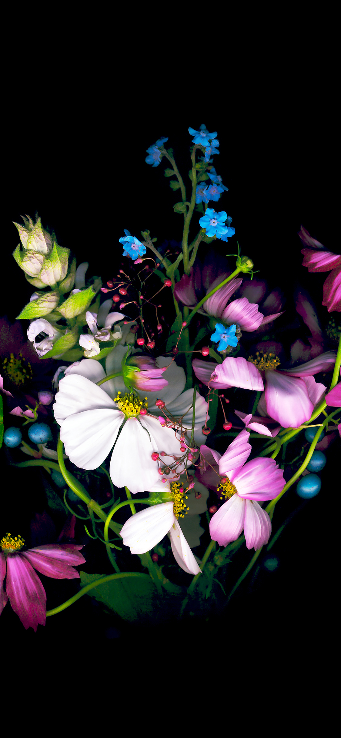 Detail Dark Flower Wallpaper Nomer 38