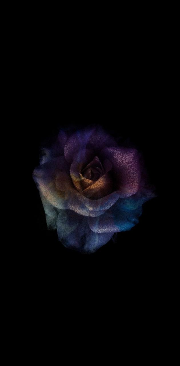 Detail Dark Flower Wallpaper Nomer 44