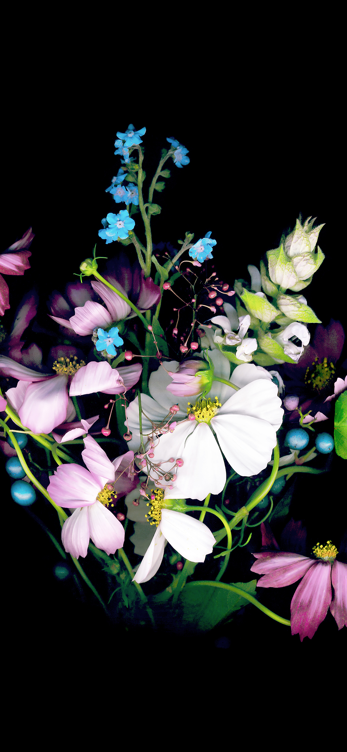 Detail Dark Flower Wallpaper Nomer 50