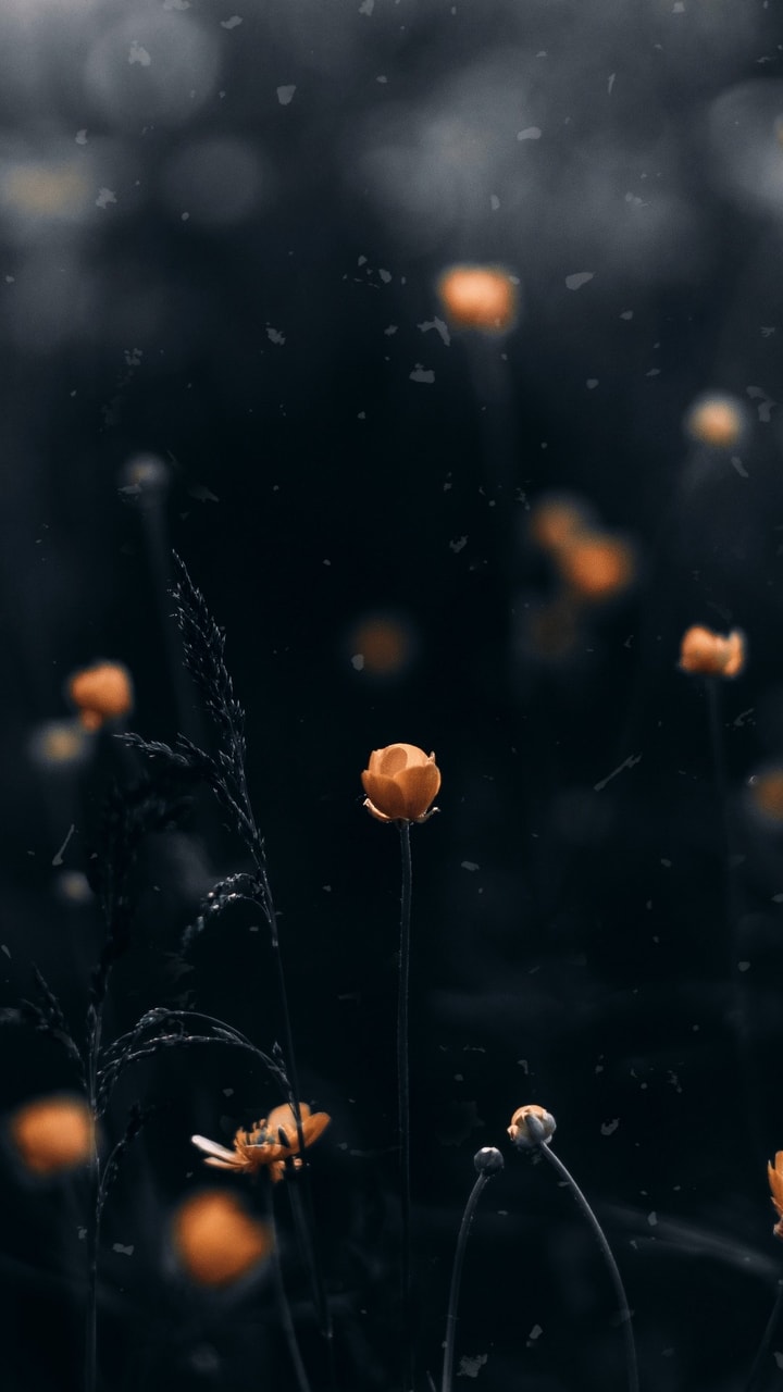 Detail Dark Flower Wallpaper Nomer 52