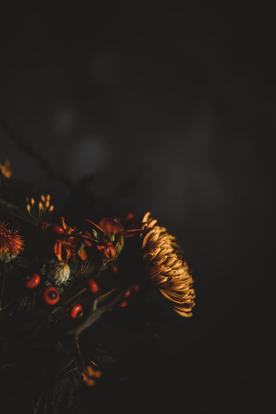Detail Dark Flower Wallpaper Nomer 56