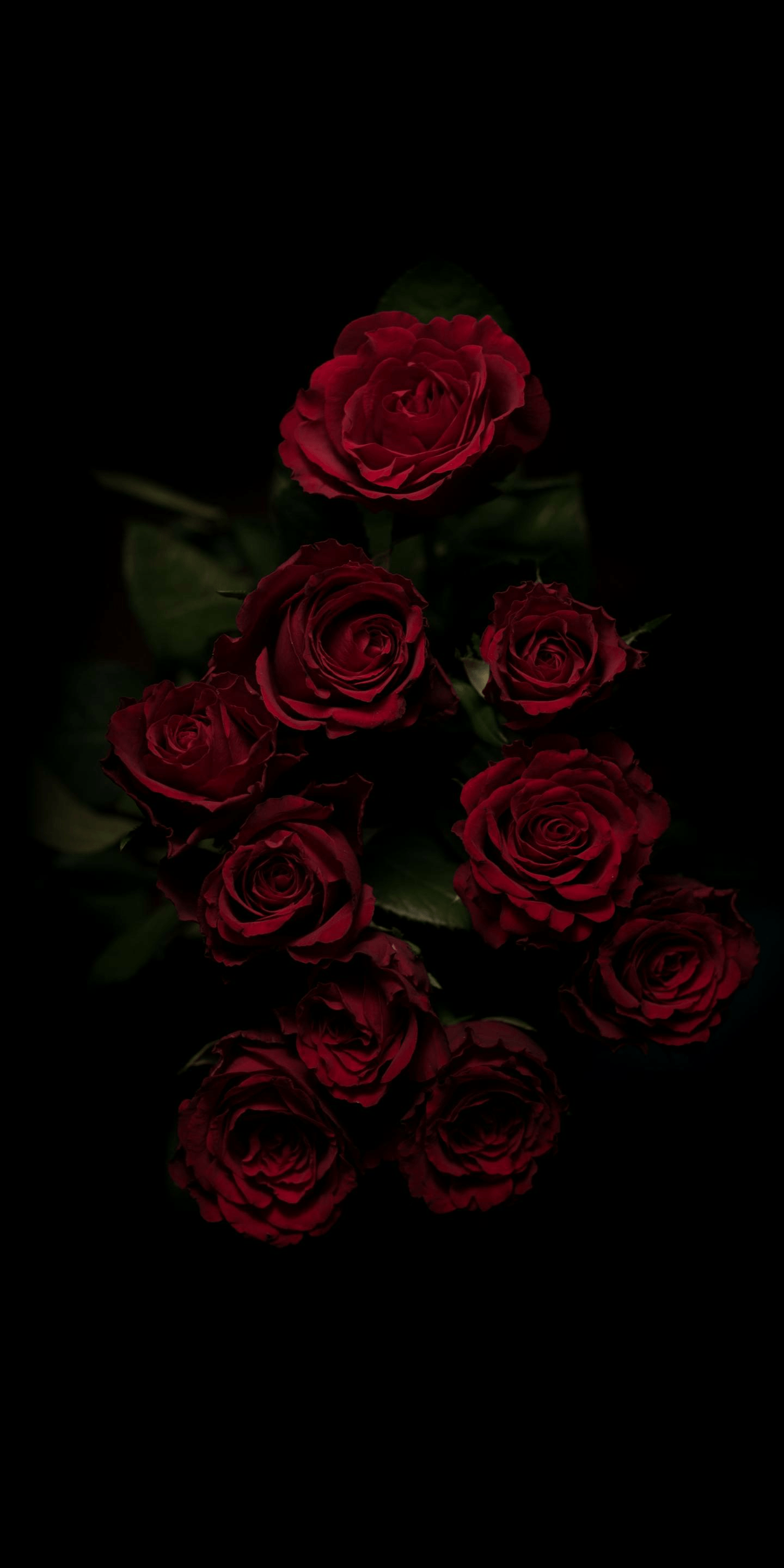 Detail Dark Flower Wallpaper Nomer 9