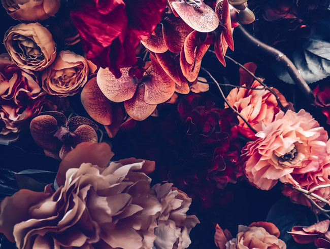 Detail Dark Flower Wallpaper Nomer 10