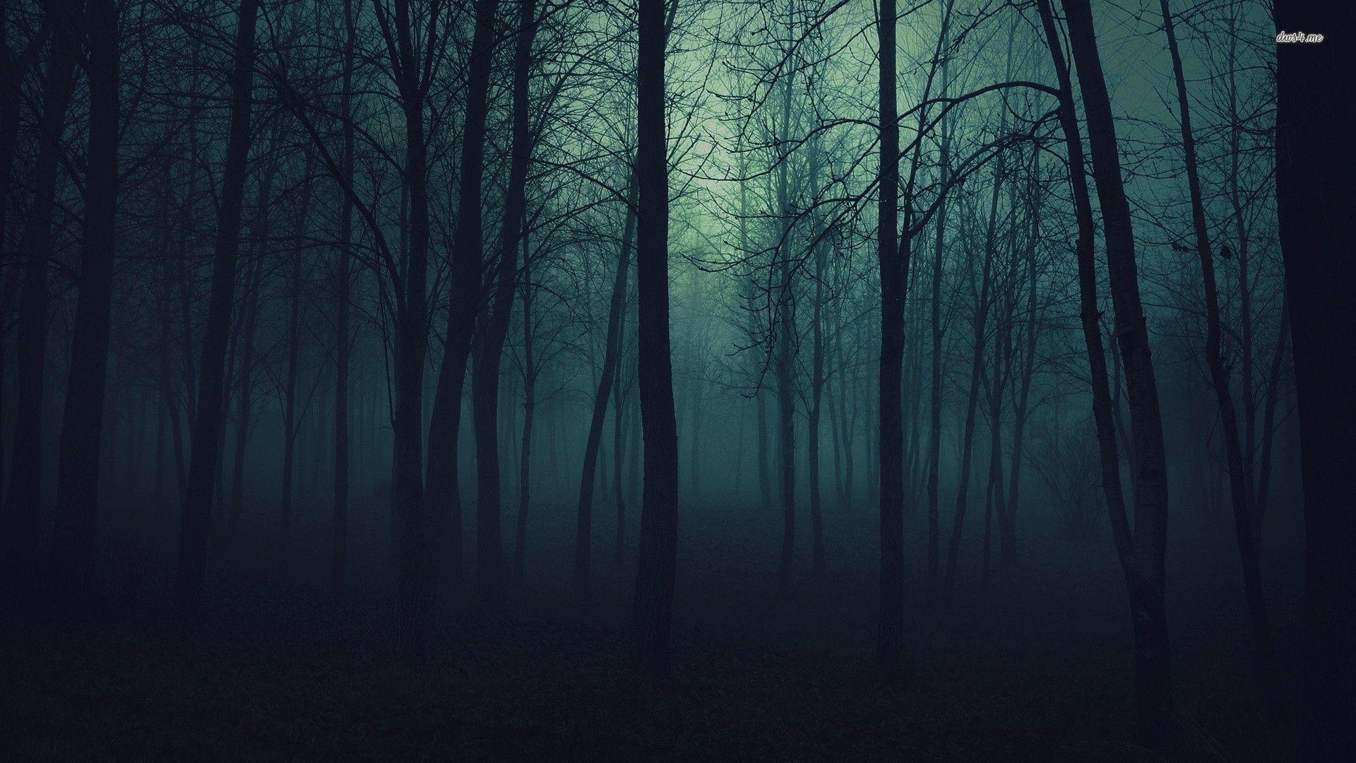 Dark Forest Background - KibrisPDR