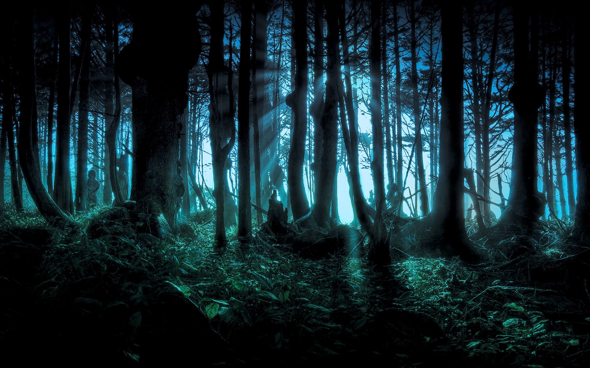 Detail Dark Forest Background Nomer 14