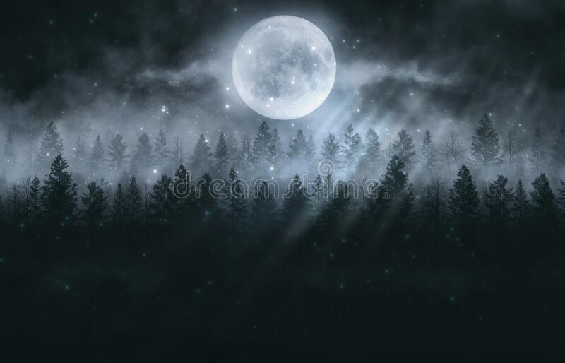 Detail Dark Forest Background Nomer 23