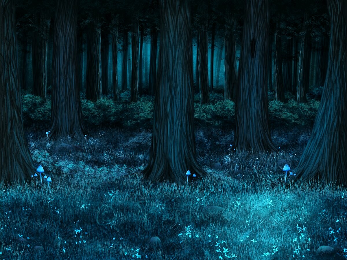 Detail Dark Forest Background Nomer 31