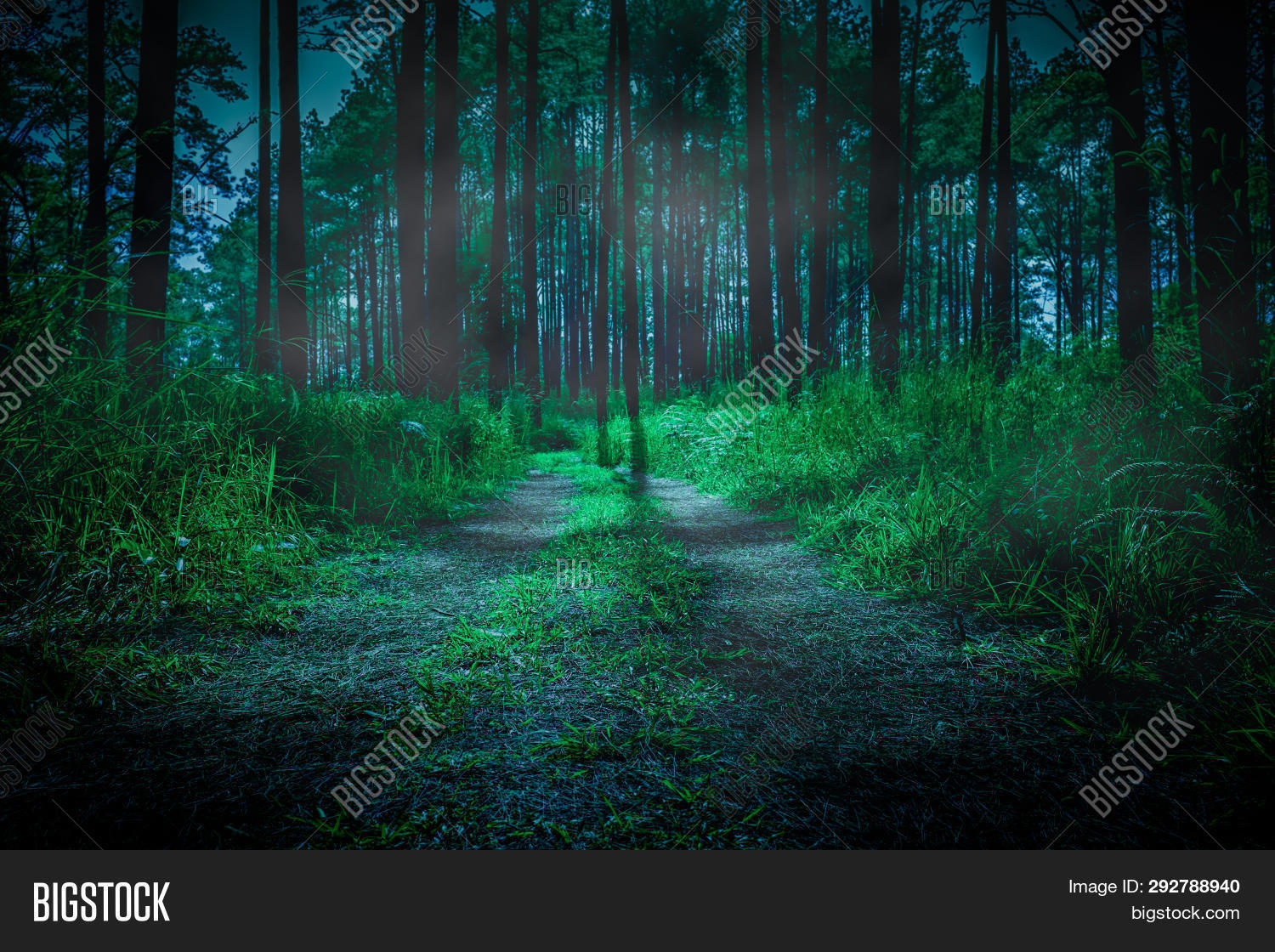 Detail Dark Forest Background Nomer 35
