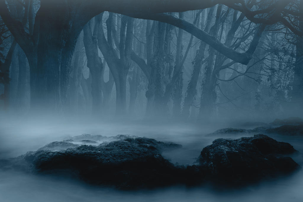 Detail Dark Forest Background Nomer 36
