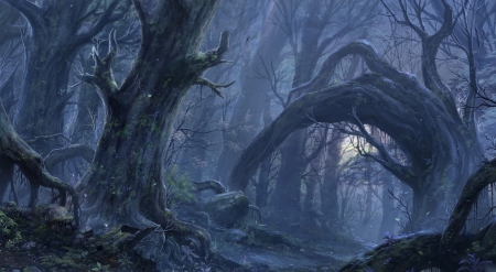 Detail Dark Forest Background Nomer 37
