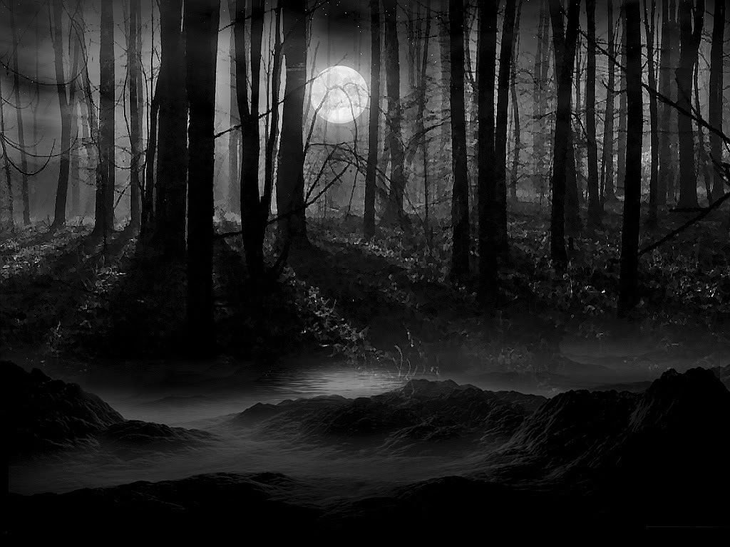 Detail Dark Forest Background Nomer 43