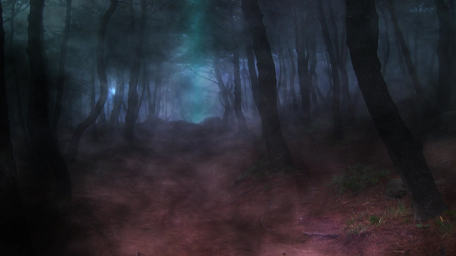 Detail Dark Forest Background Nomer 48