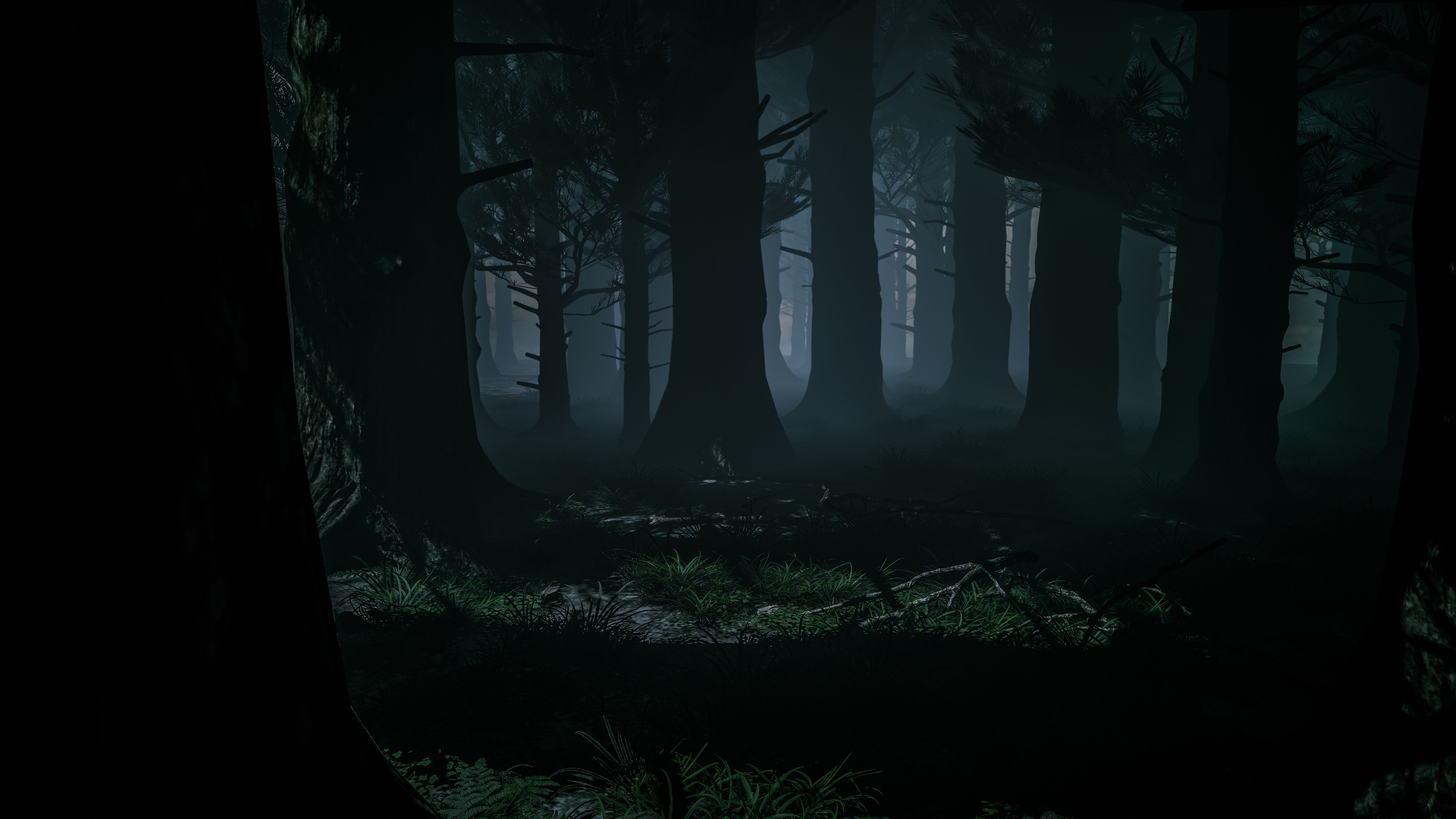 Detail Dark Forest Background Nomer 6