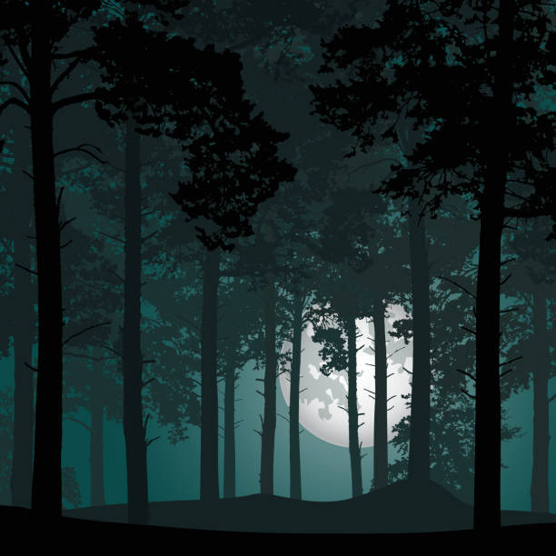 Detail Dark Forest Background Nomer 49