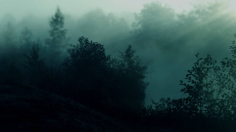 Detail Dark Forest Background Nomer 55