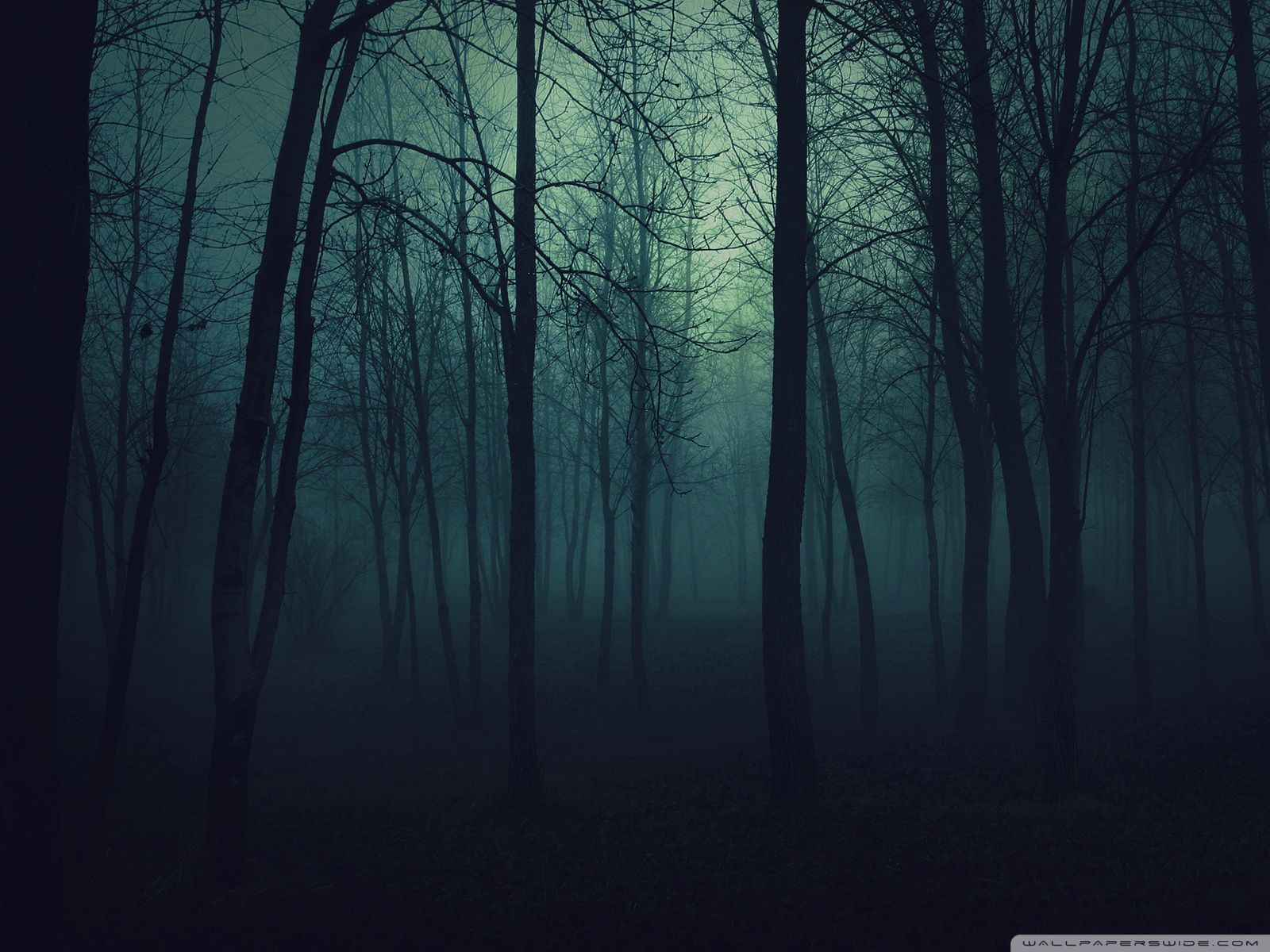 Detail Dark Forest Background Nomer 8