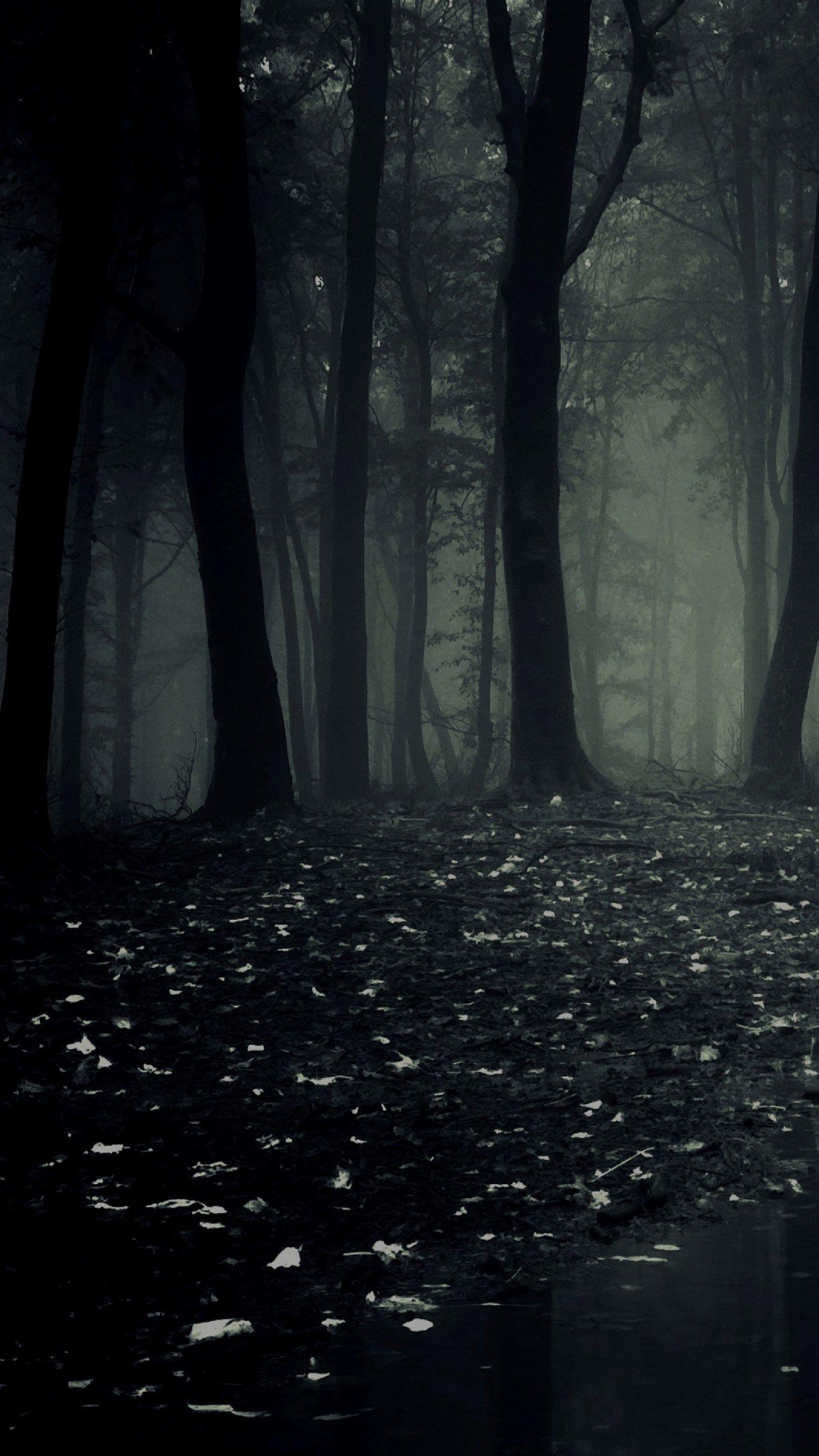 Detail Dark Forest Wallpaper Hd Nomer 20