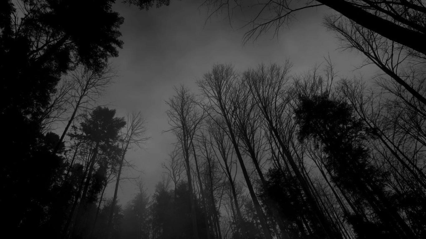 Detail Dark Forest Wallpaper Hd Nomer 58