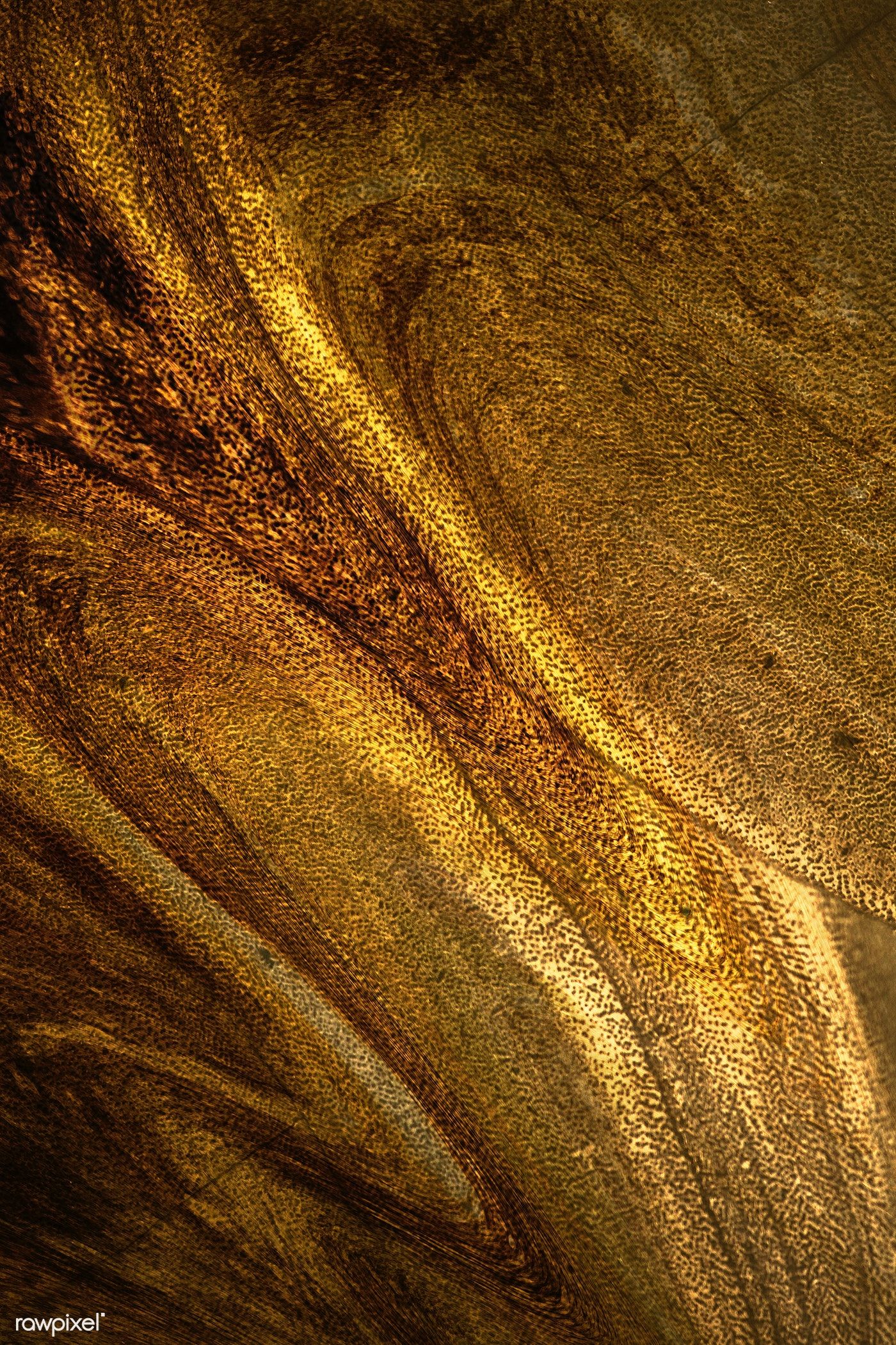 Detail Dark Gold Background Nomer 3