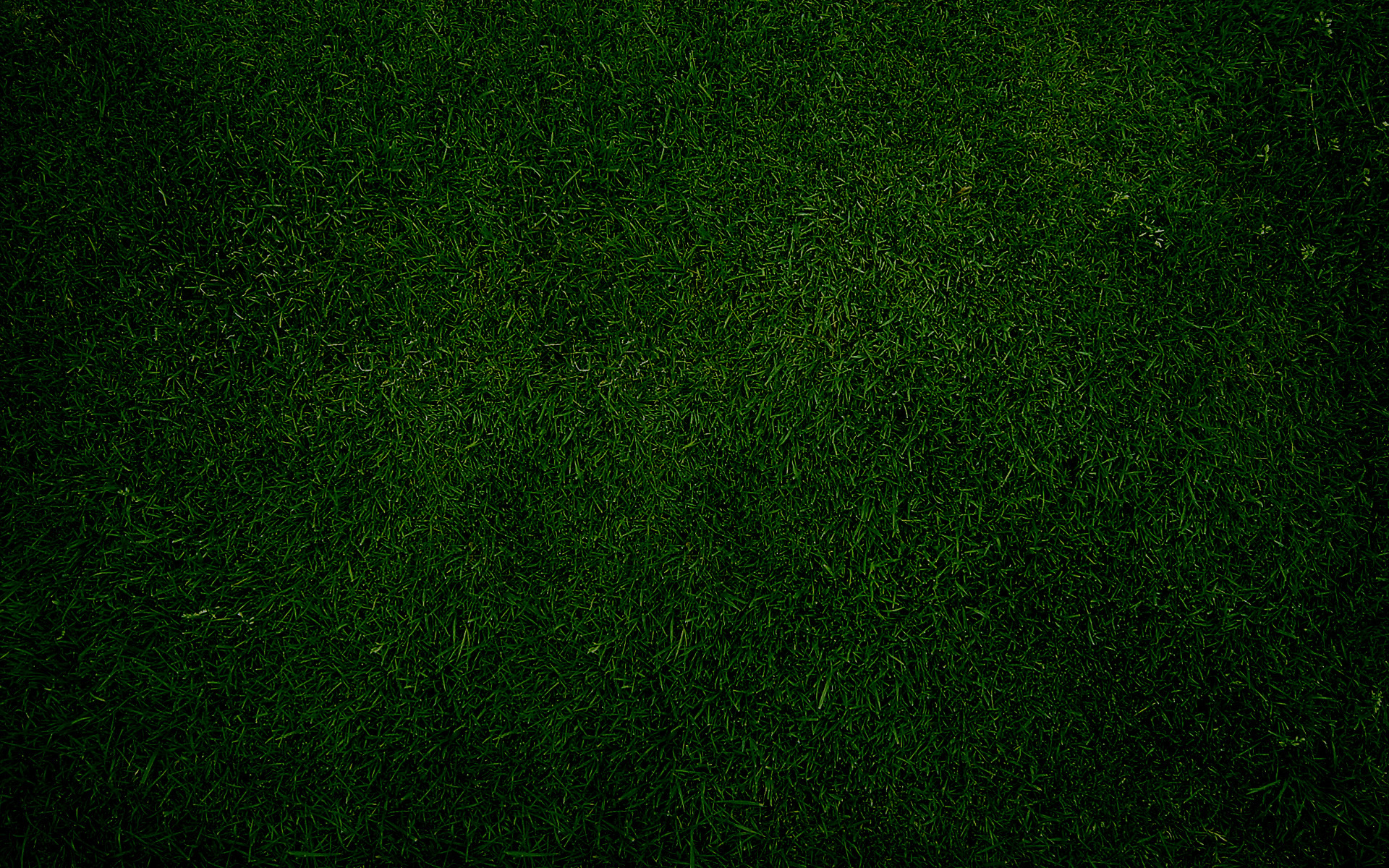 Detail Dark Green Background Hd Nomer 42