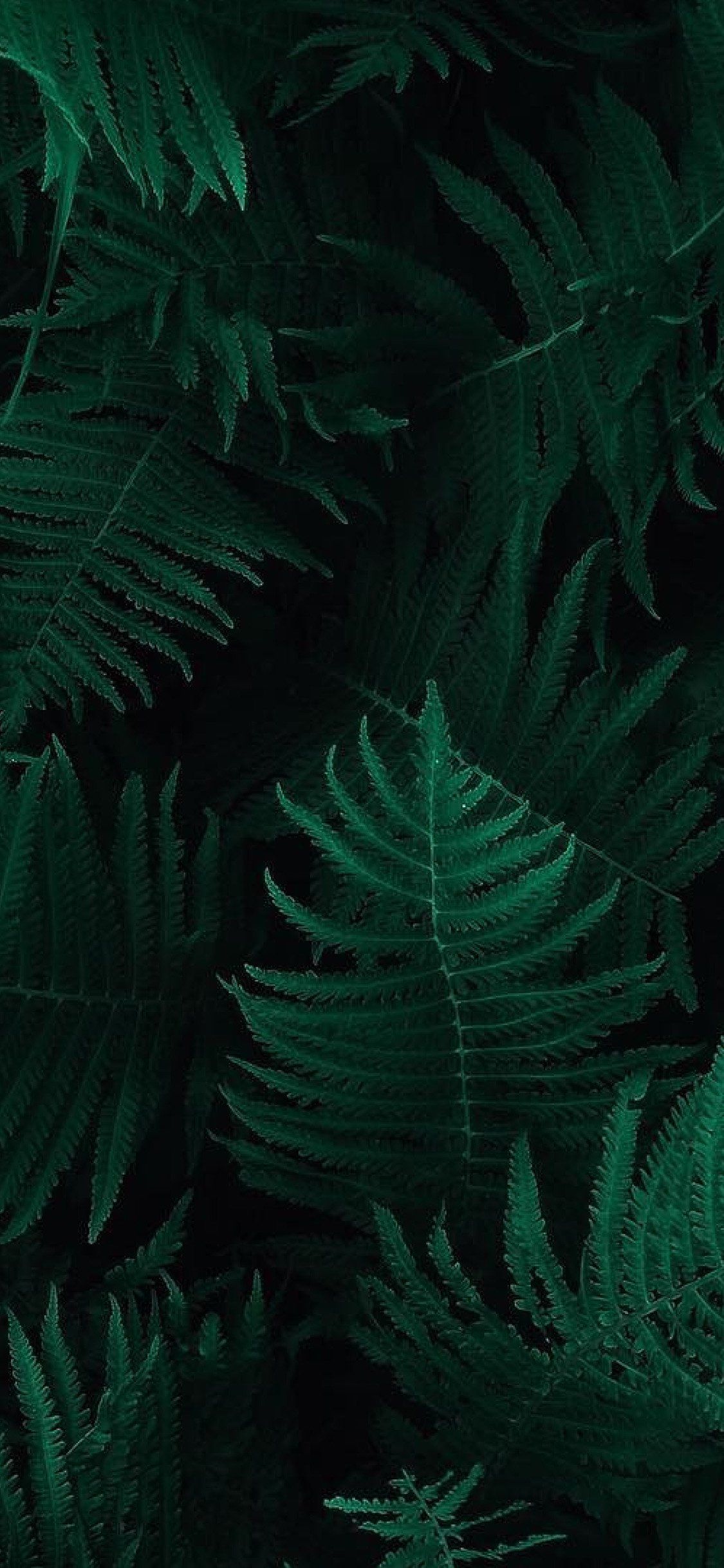 Detail Dark Green Wallpaper Hd Nomer 45