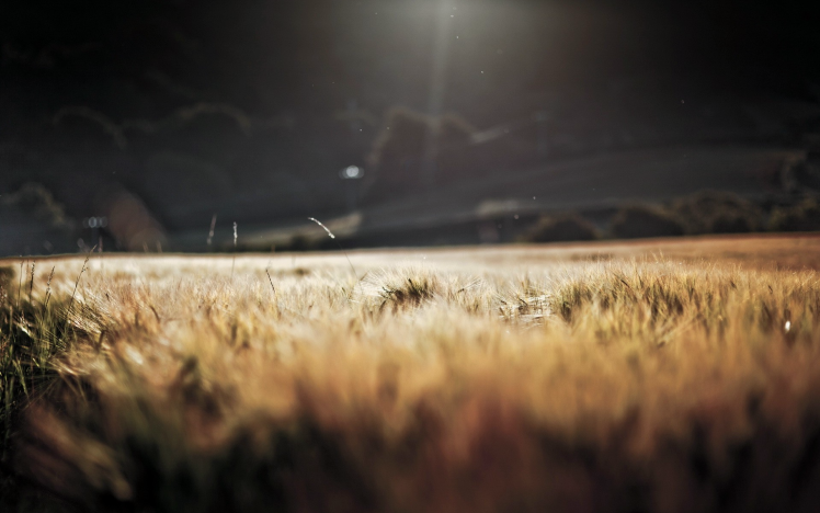 Detail Dark Nature Background Nomer 36