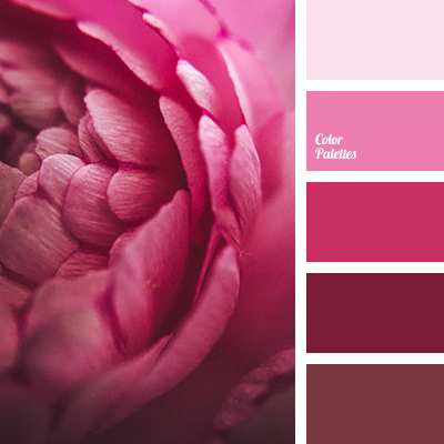 Detail Dark Pink Nomer 43