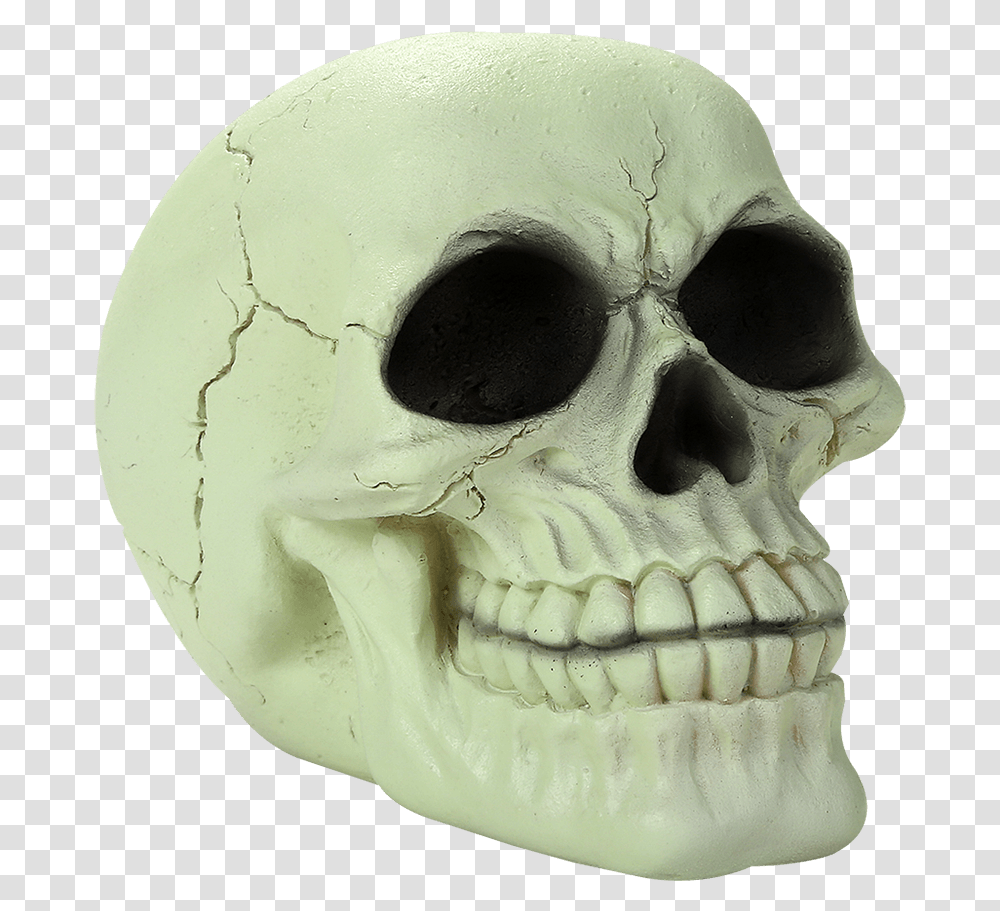 Detail Dark Skull Png Nomer 41