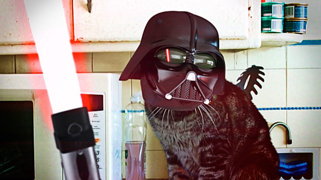 Detail Darth Vader Cat Samsung Nomer 11